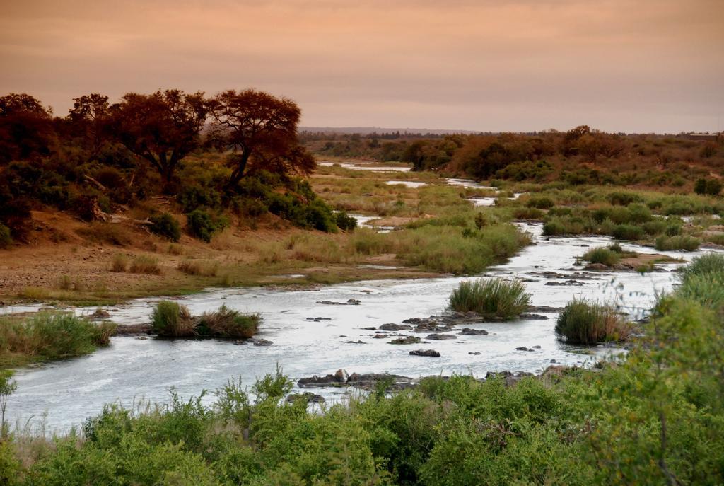 Manzini Chalets Marloth Park Kamer foto