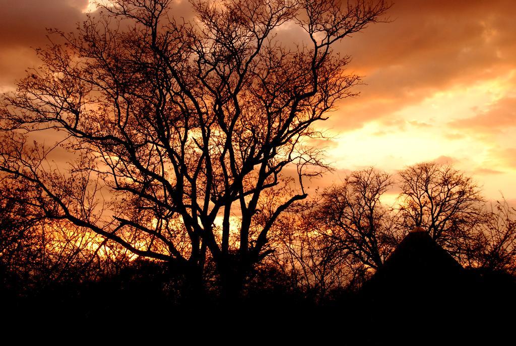 Manzini Chalets Marloth Park Buitenkant foto